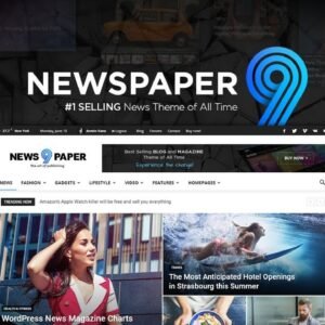 Newspaper WordPress Theme