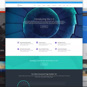 Elegant-Themes-Divi-WordPress-Theme-Layouts