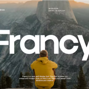 Francy-Modern-Sans-Display-Font