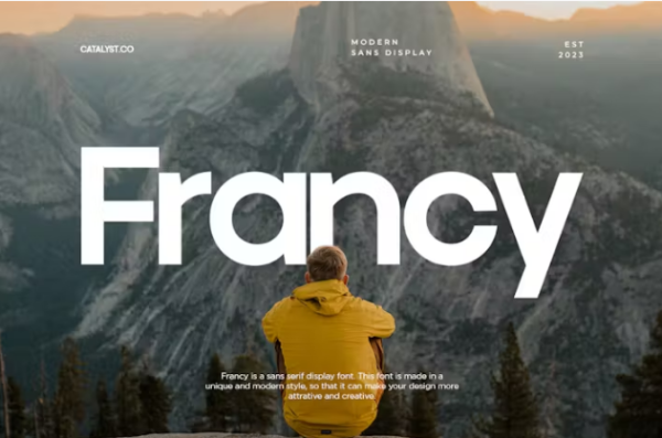 Francy-Modern-Sans-Display-Font