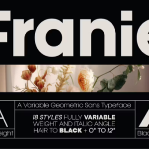 Franie-Geometric-Sans-Font